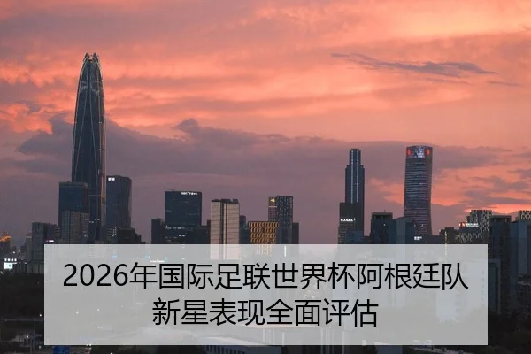 2026年国际足联世界杯阿根廷队新星表现全面评估