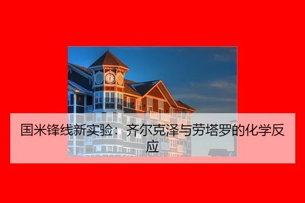 国米锋线新实验：齐尔克泽与劳塔罗的化学反应