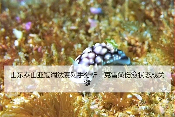 shan-dong-tai-shan-ya-guan-tao-tai-sai-dui-shou-fen-xi-ke-lei-sang-shang-yu-zhuang-tai-cheng-guan-jian-3-658.jpg